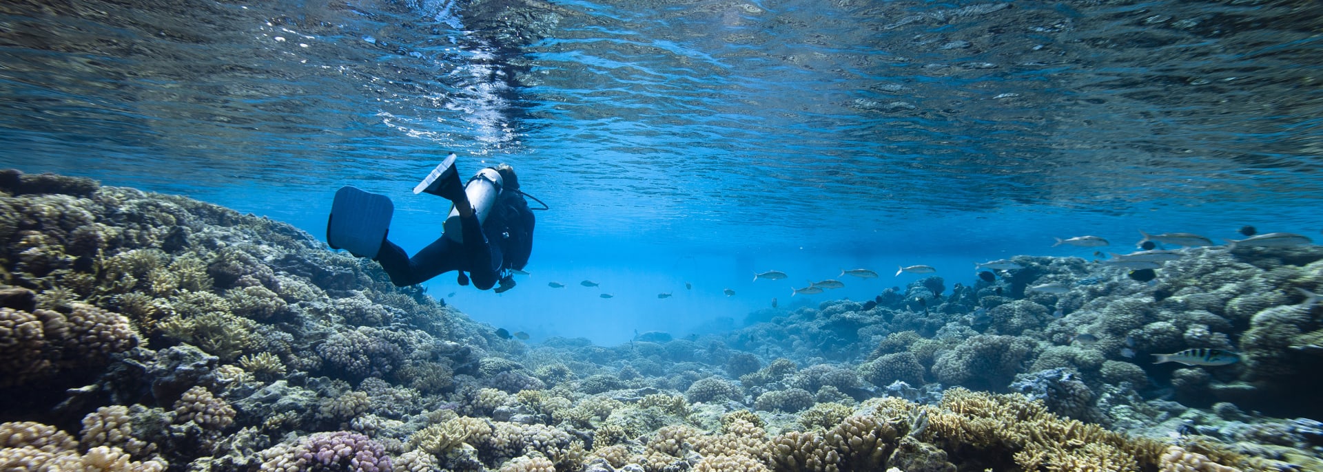 Tauchen, Vanuatu