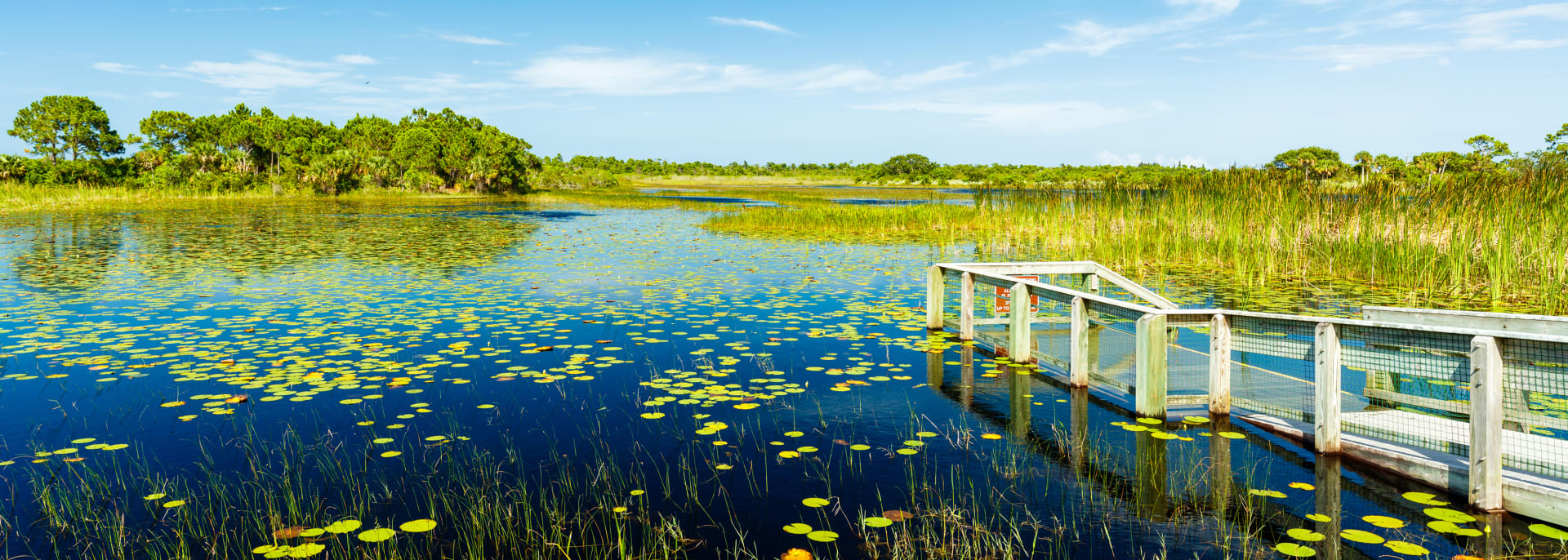 Everglades, Florida, USA