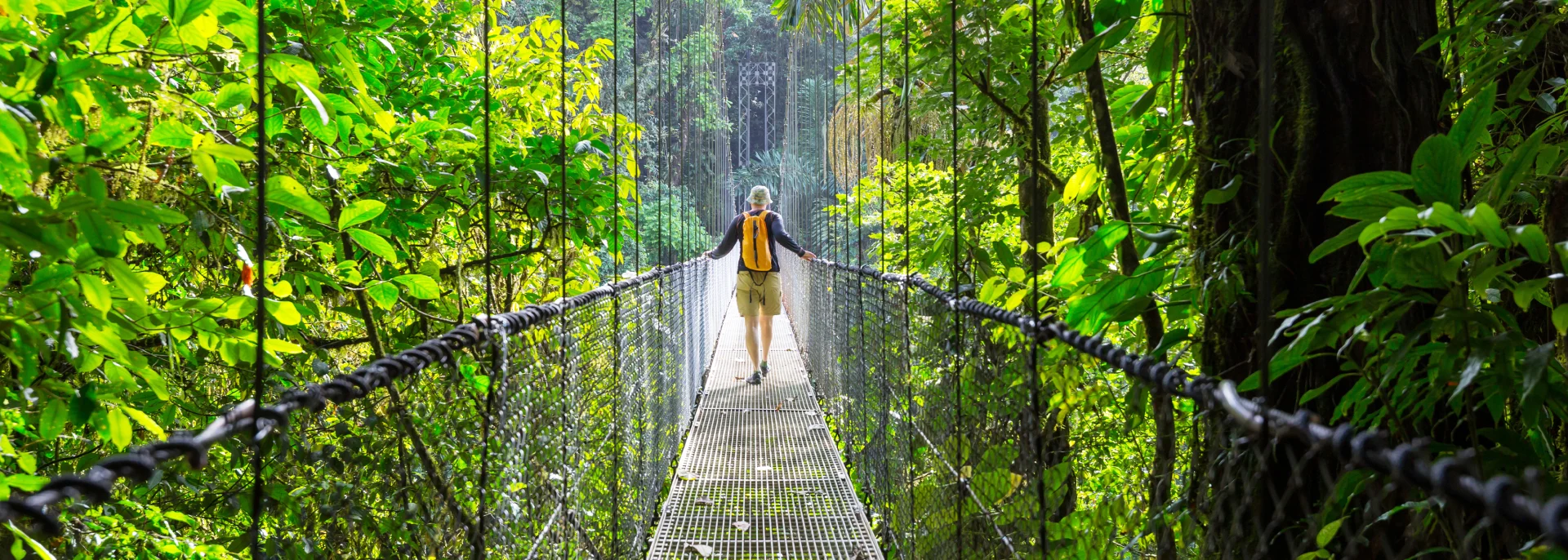 Wandern im grünen tropischen Dschungel, Costa Rica