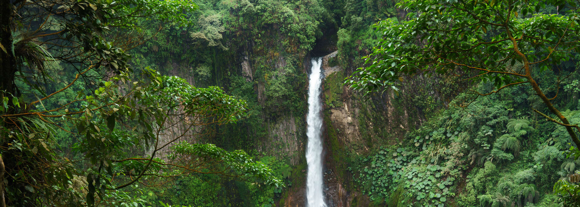 Alajuela & Bajos del Toro, Costa Rica