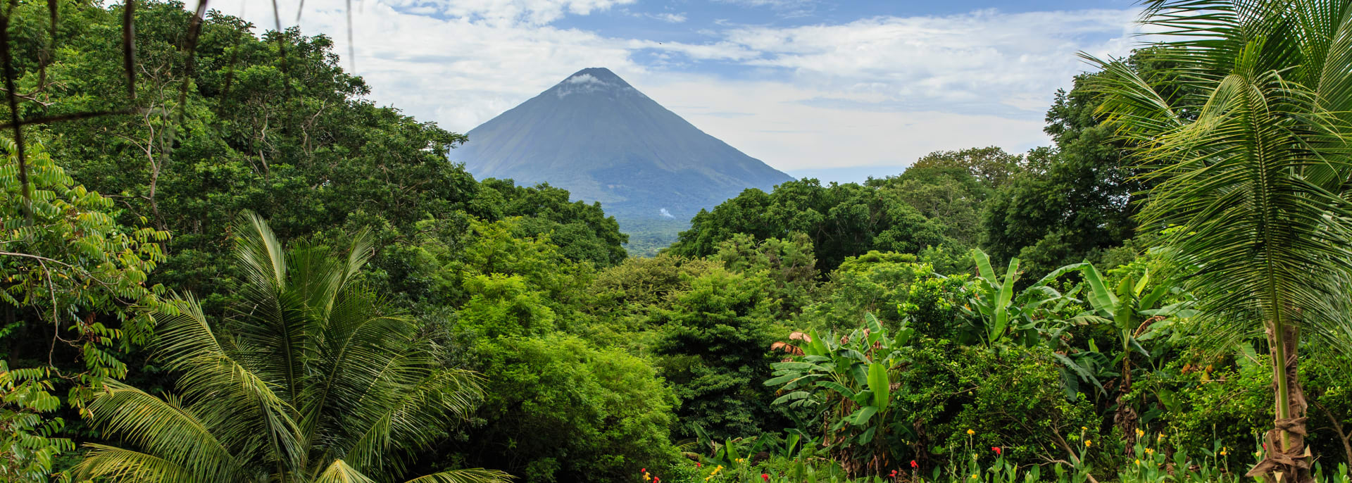 Urwald in Nicaragua