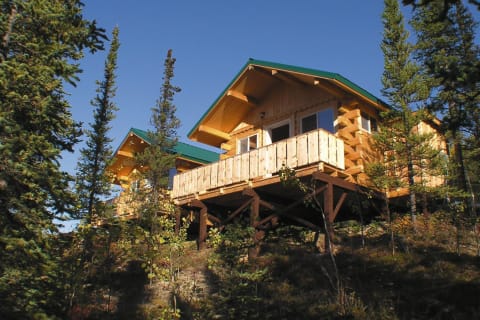 Denali Grizzly Bear Resort