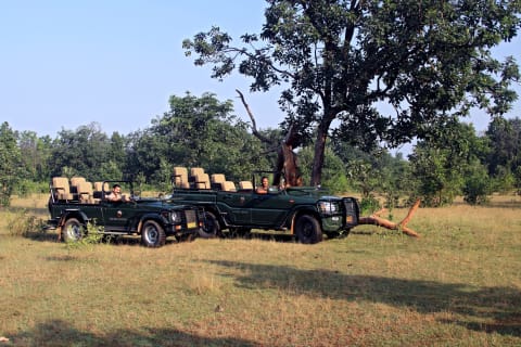 Samode Safari Lodge