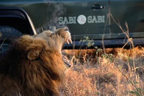 Sabi Sabi Selati Camp