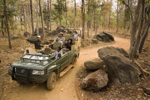 Baghvan, A Taj Safari