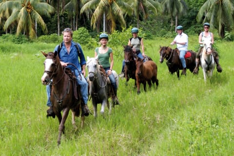 Selva Bananito Lodge