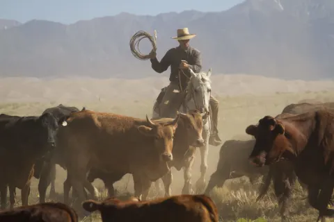 Zapata Ranch