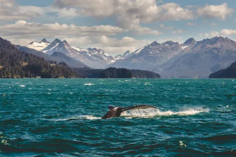 Bluewater Adventure Inside Passage 13 Tage