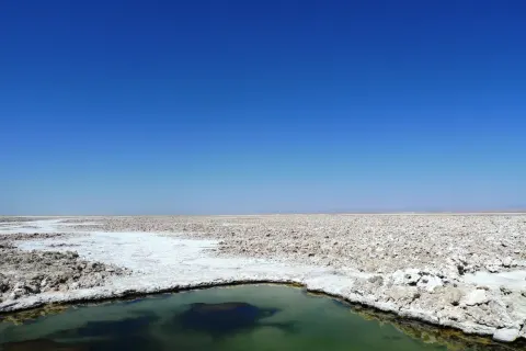 Zubucherreise Von Salta durch die Atacama Wüste