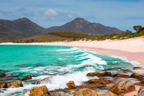 Tasmaniens Flora & Fauna entdecken