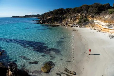 Coastal Wilds of Tasmania