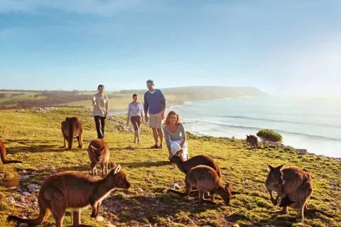 Kangaroo Island Experience