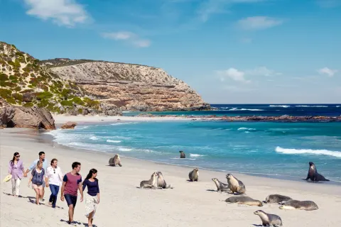 Kangaroo Island Natur & Kulinarik
