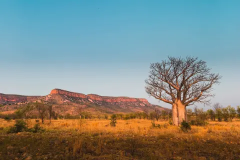 Best of the Kimberley