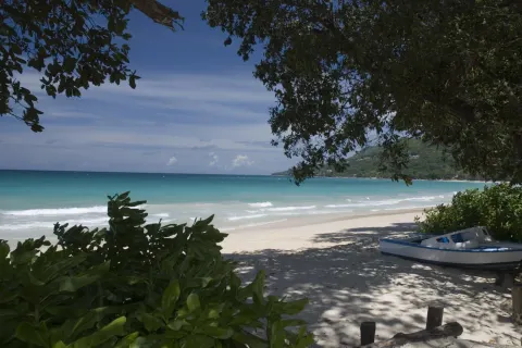 Augerine Guesthouse
