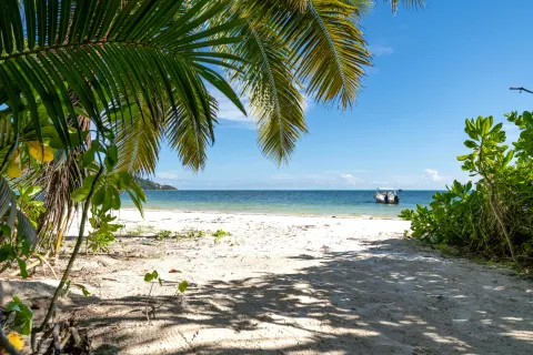 Bliss Praslin
