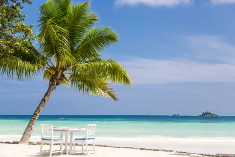 Paradise Sun