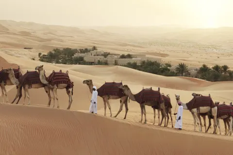 Anantara Qasr Al Sarab Desert Resort