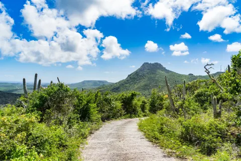 ABC-Inseln: Island Hopping auf Aruba, Bonaire & Curaçao