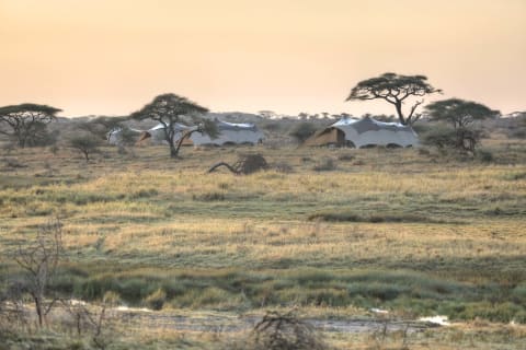Namiri Plains Camp