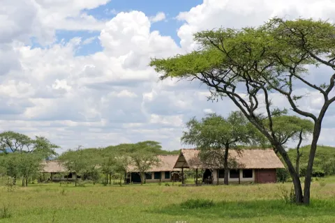Ikoma Tented Camp