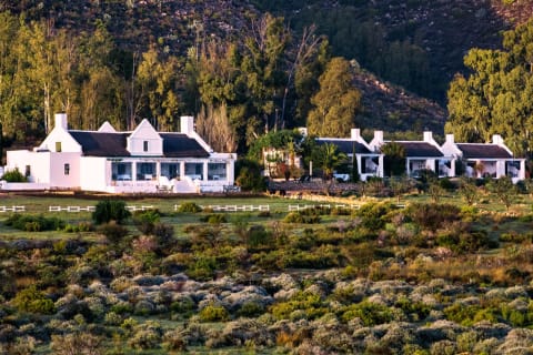 Galenia Estate