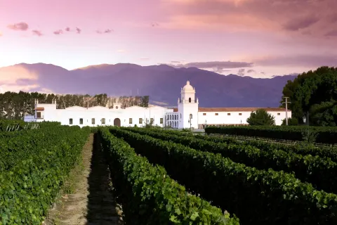 Patios de Cafayate