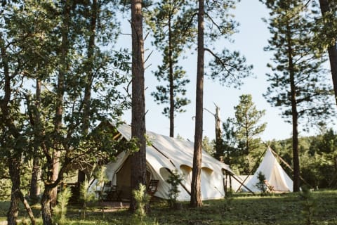 Under Canvas Mount Rushmore