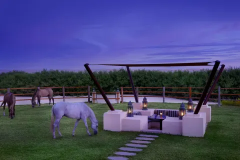 Al Wathba, a Luxury Collection Desert Resort & Spa, Abu Dhabi