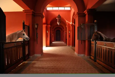Selman Marrakech