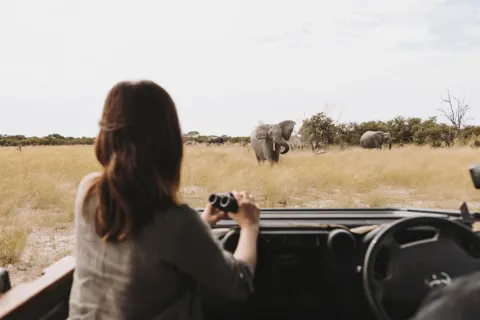 Wilderness Vumbura Plains