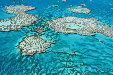 Tauchen am Great Barrier Reef