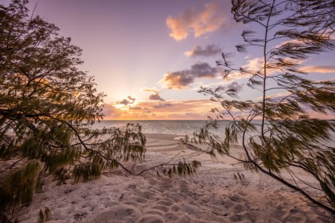 Heron Island Resort
