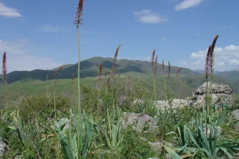 Kasachstan und Kirgistan kompakt