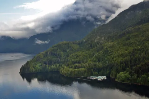 Bärenbeobachtung Knight Inlet Lodge 4 Tage