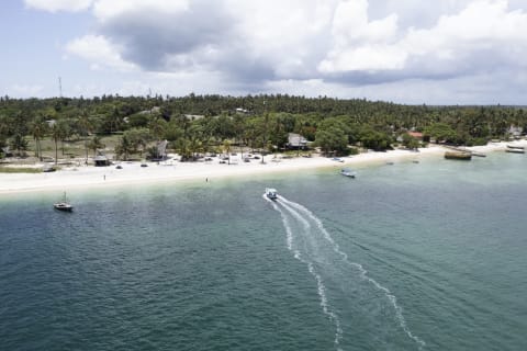 Basecamp Mafia Island