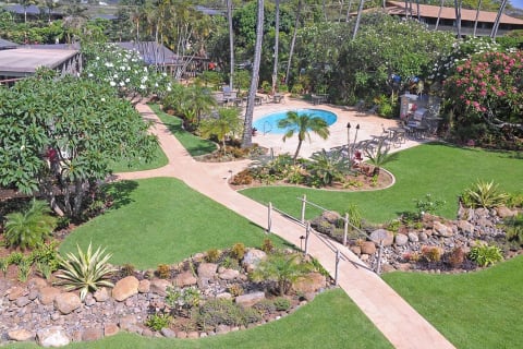 The Mauian