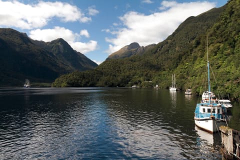 Doubtful Sound Overnight Cruise
