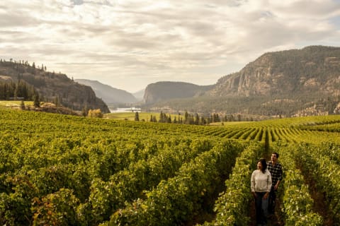 Valleys & Vineyards