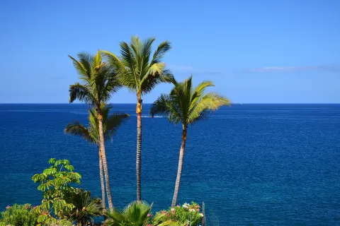 Badeferien im Dreams Jardin Tropical Resort & Spa