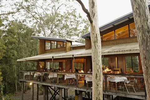 Paperbark Camp