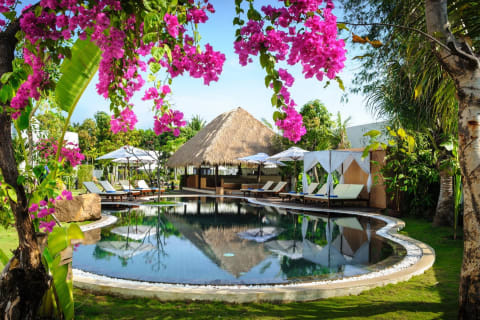 Navutu Dreams Resort & Wellness Retreat