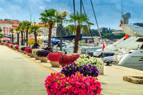 Badeferien im Valamar Collection Marea Suites