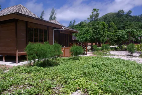 Heliconia Grove
