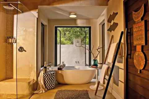Sabi Sabi Little Bush Camp