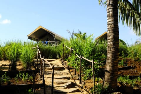 Otentic Eco Tent River Experience