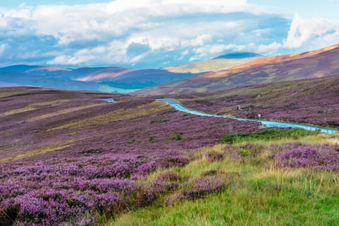 Schottland Entspannt