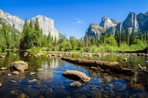 Yosemite Cedar Lodge