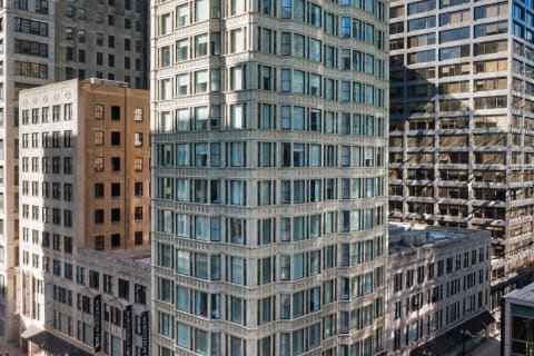 Staypineapple The Loop Chicago