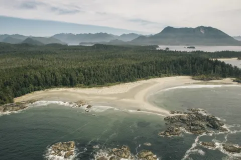 The Infinite Coast